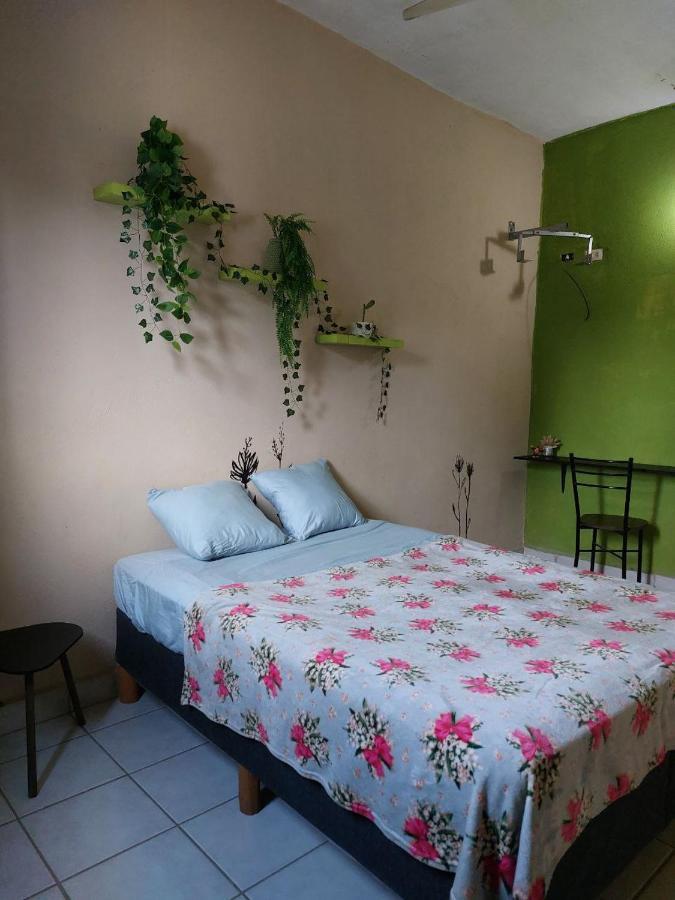 Cho Ku Rei Hostal San Jose del Cabo Ngoại thất bức ảnh
