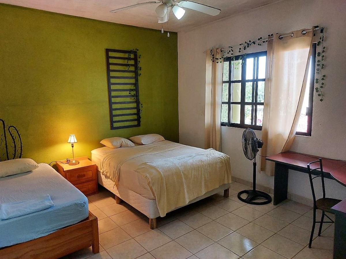 Cho Ku Rei Hostal San Jose del Cabo Ngoại thất bức ảnh